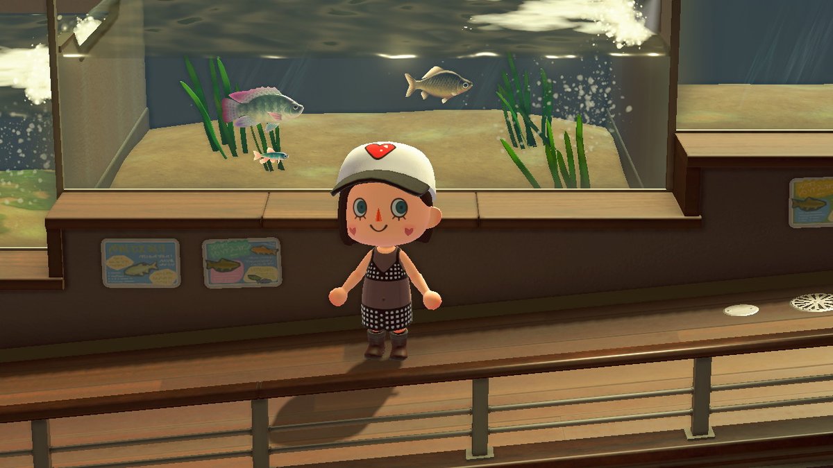 sunnyflan's tweet photo. #AnimalCrossing #ACNH #NintendoSwitch https://t.co/iMggWinTso