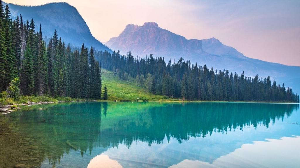 HPE_Alliances's tweet photo. On premise VDI with the security, seamless user experience, and productivity provided in a unique consumption-based model? Yep. #Citrix and #HPE are totally on it. Utilizes Citrix software for VDI and #HPE #GreenLake. #HPEAlliances #Citrix https://t.co/Yyx8avryii https://t.co/Zs6aQhV3iB