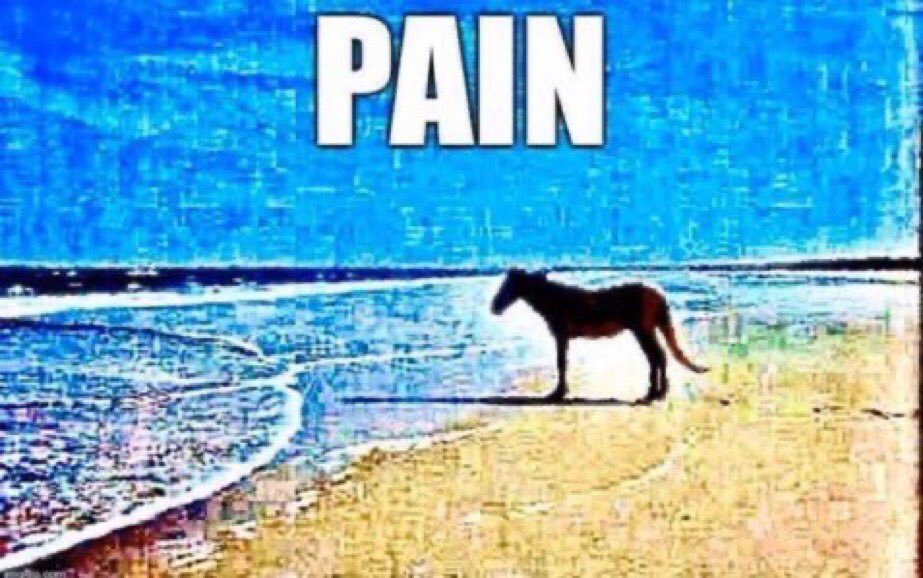 VMEggg's tweet photo. @ant_abbby Pain: A Thread https://t.co/ogF8WotayU