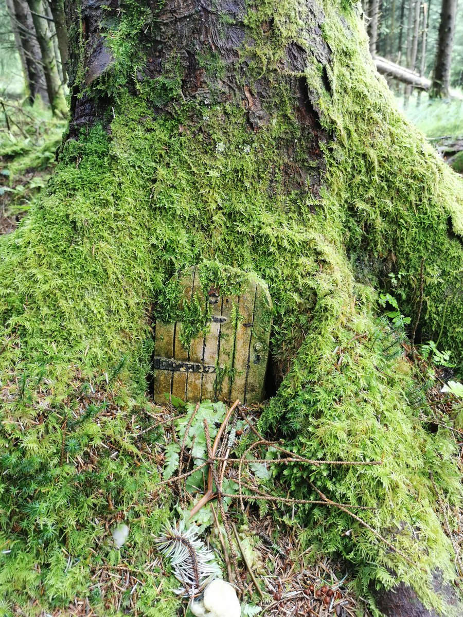 Catriona Riddell tweet media