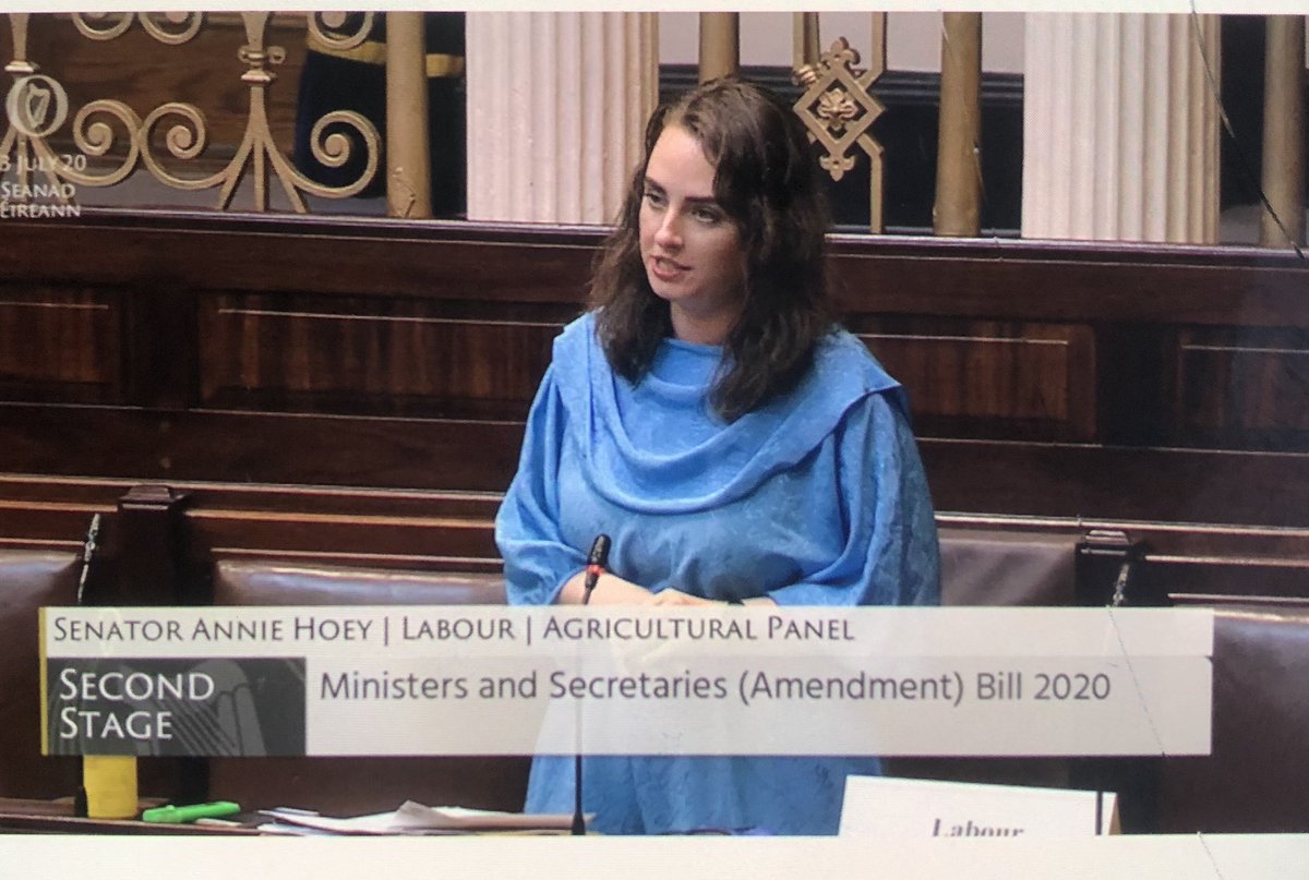 annaheverin's tweet image. Illustrating the opportunities that education can give those lucky to access it &amp;amp; also discussing precarious work for those who are employed in the higher education sector. Great speech from @hoeyannie @labour 🌹✊#Seanad2020