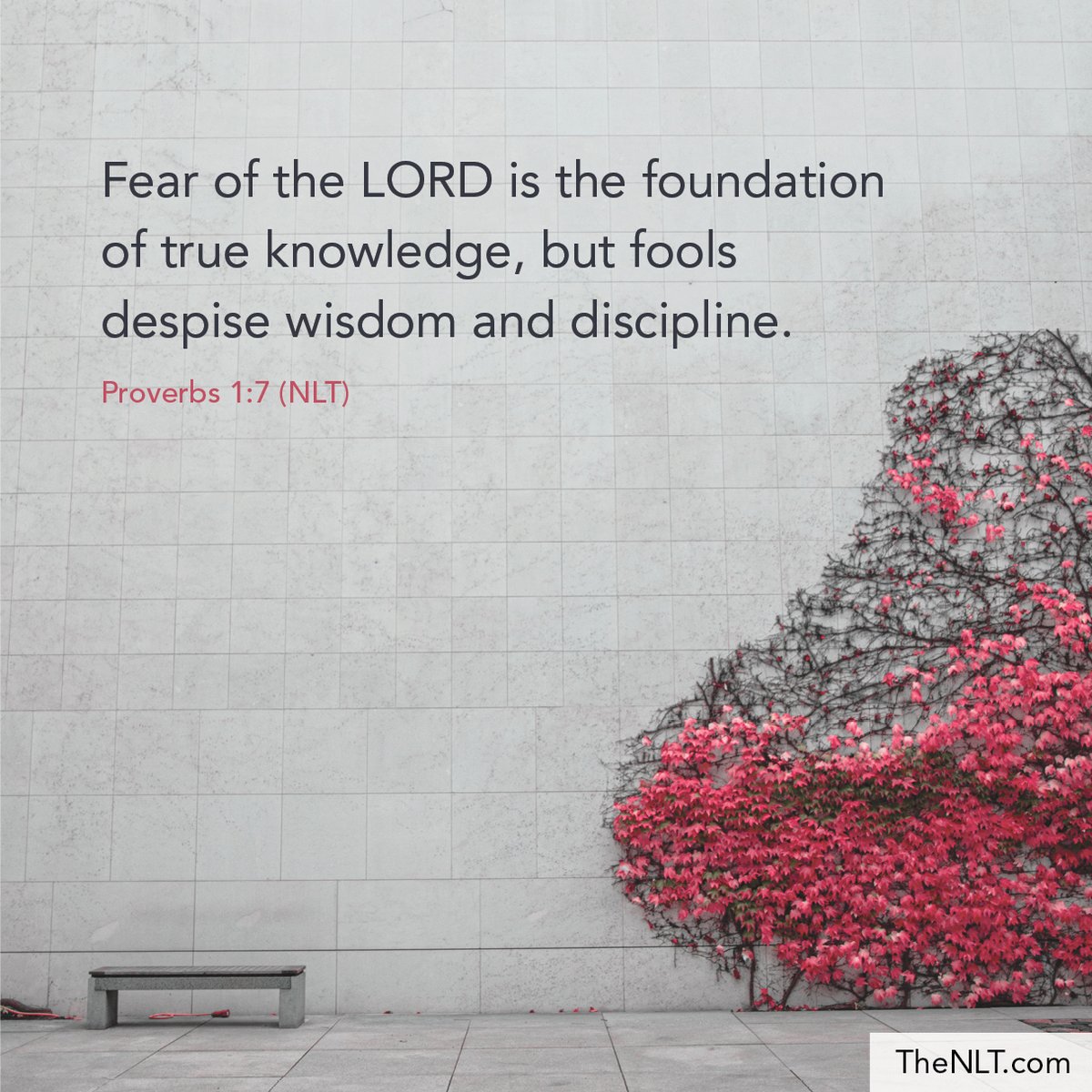 bible verse fools despise wisdom