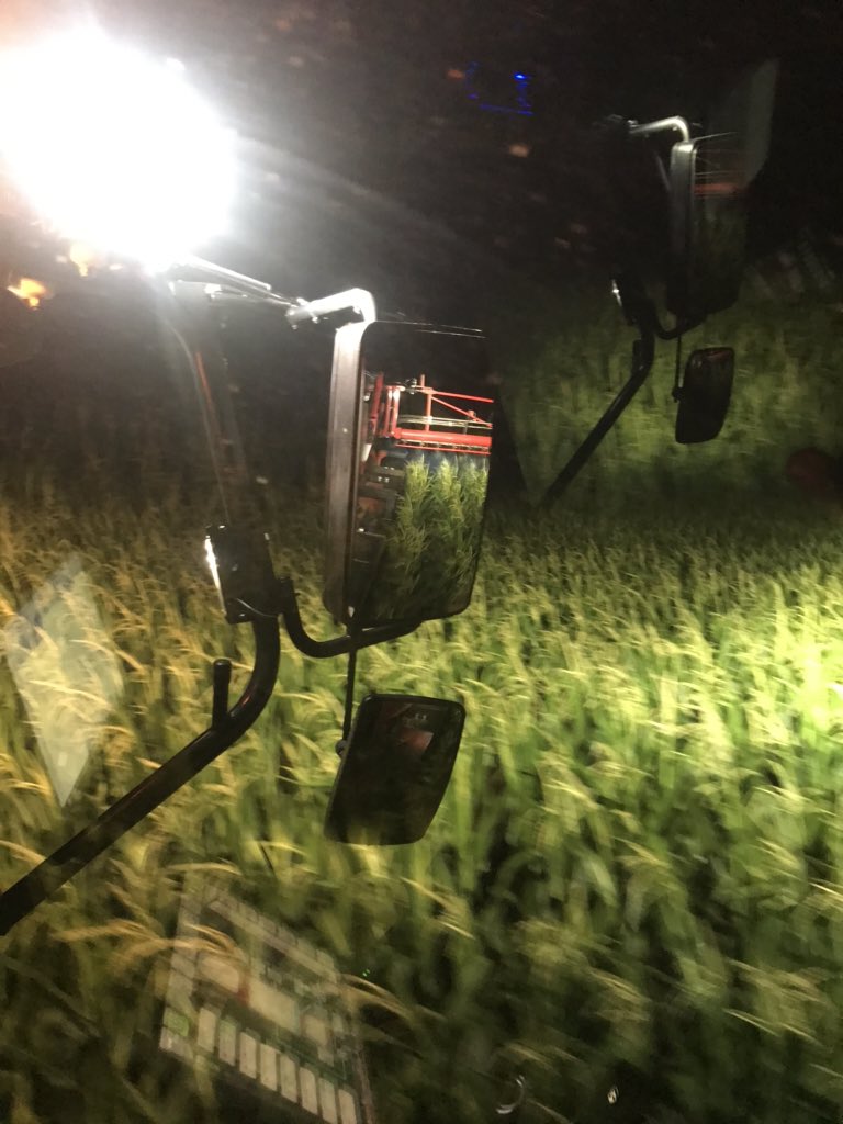 Brotherhood_59's tweet photo. Spraying some corn with #agrifac Thanks to #specialtyvegetableequipmentinc for letting me demo it.  #condorclearanceplus #ontag #spray20 https://t.co/EvhmrNDiIN