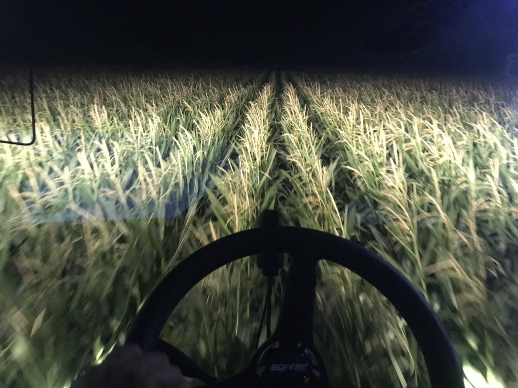 Brotherhood_59's tweet photo. Spraying some corn with #agrifac Thanks to #specialtyvegetableequipmentinc for letting me demo it.  #condorclearanceplus #ontag #spray20 https://t.co/EvhmrNDiIN