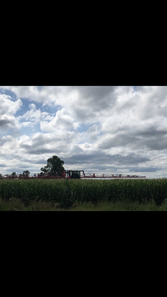 Brotherhood_59's tweet photo. Spraying some corn with #agrifac Thanks to #specialtyvegetableequipmentinc for letting me demo it.  #condorclearanceplus #ontag #spray20 https://t.co/EvhmrNDiIN