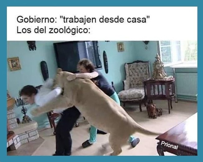 Meme classique de la pandémie