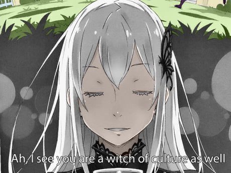 Anyways, I think a rewatch is always a good thing especially for ReZERO. I had this show at a 7/10, when it Aired back in 2016. I didn’t care for Subaru in fact I was annoyed by him, I hated the Rem Rejection, I didnt care for Emilia etc. Then I rewatched the Directors Cut. —
