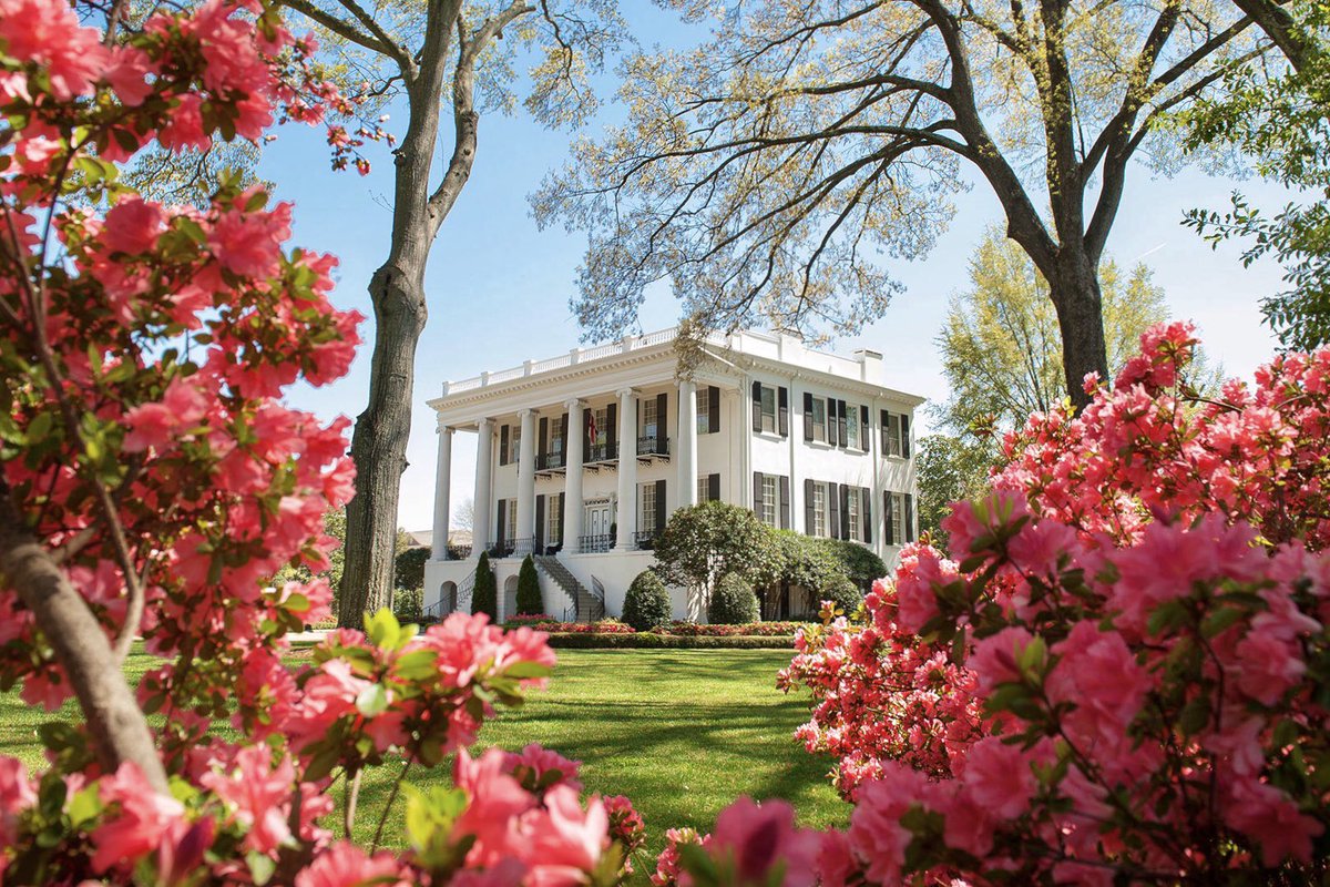 AmazingColleges's tweet photo. University of Alabama • Tuscaloosa, Alabama https://t.co/snEZ43UTc8