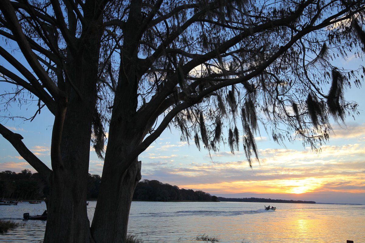 GreaterORLSport's tweet photo. JUST ANNOUNCED: LAKE COUNTY’S HARRIS CHAIN OF LAKES LANDS TWO BASSMASTER CHAMPIONSHIP EVENTS

Press Release: https://t.co/HpJd0XVjR1 https://t.co/beVcZHwsKX
