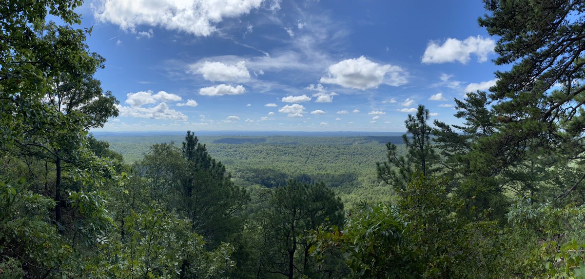 Allen_B__'s tweet photo. Atop King’s Chair at Oak Mountain
#HappyClouds #ALwx #HikeAL https://t.co/YoIvxDw1TG