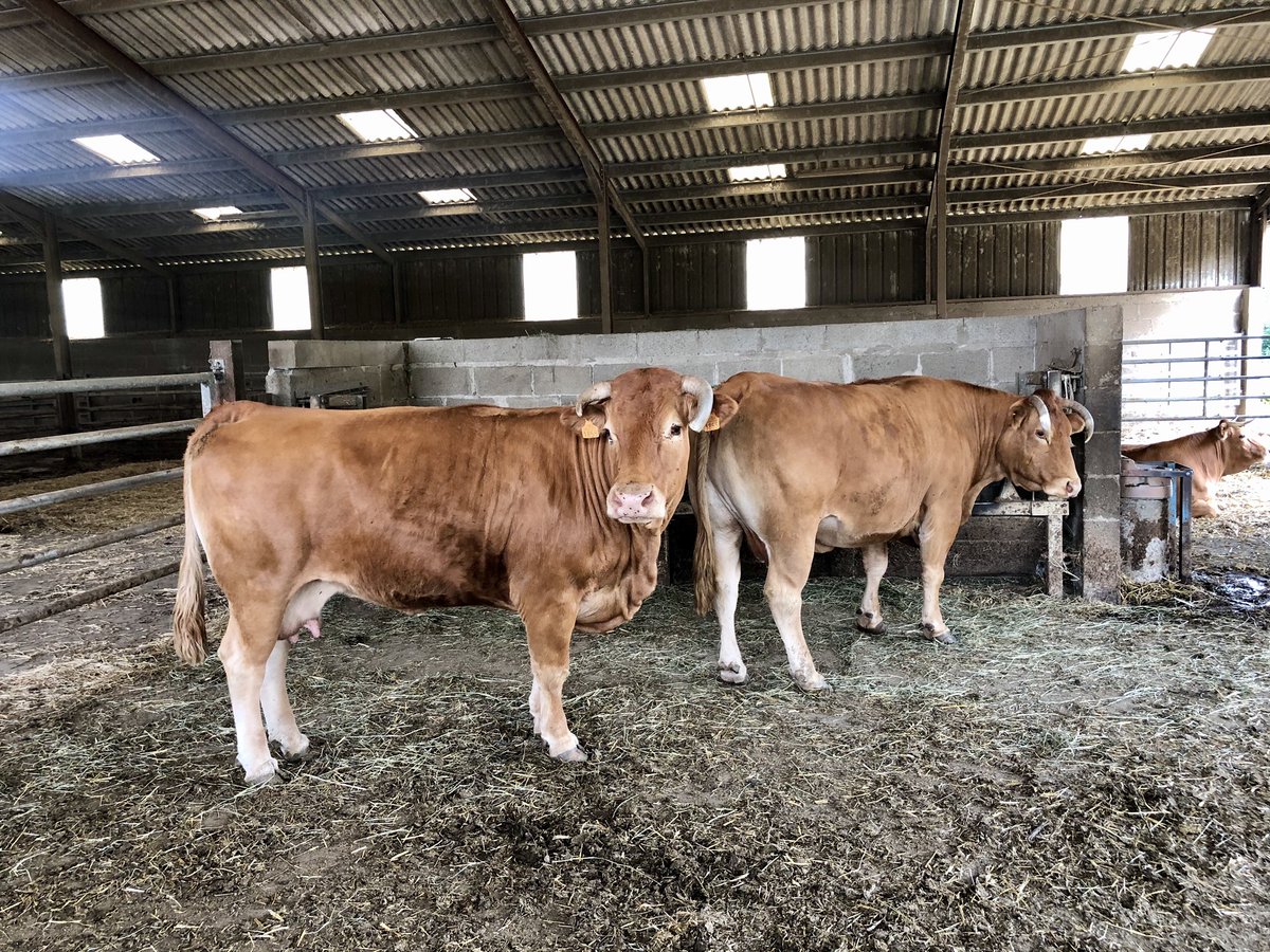 A Perpezac-le-Noir (Corrèze), aux côtés de celles et ceux qui nous fournissent cette alimentation française de qualité. Cette agriculture doit être rémunérée à sa juste valeur.