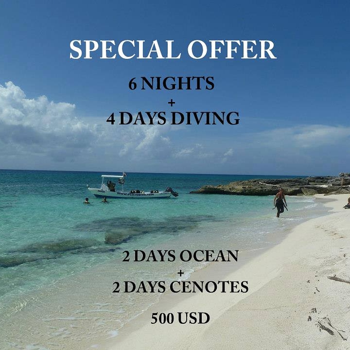 plutodive's tweet photo. Join us for beautiful dives in the ocean and unique experience in the cenotes. Please contact us at info@plutodive.com
#staysafe #Mexico #scuba #Ocean #cenote https://t.co/NE4OXolRWk