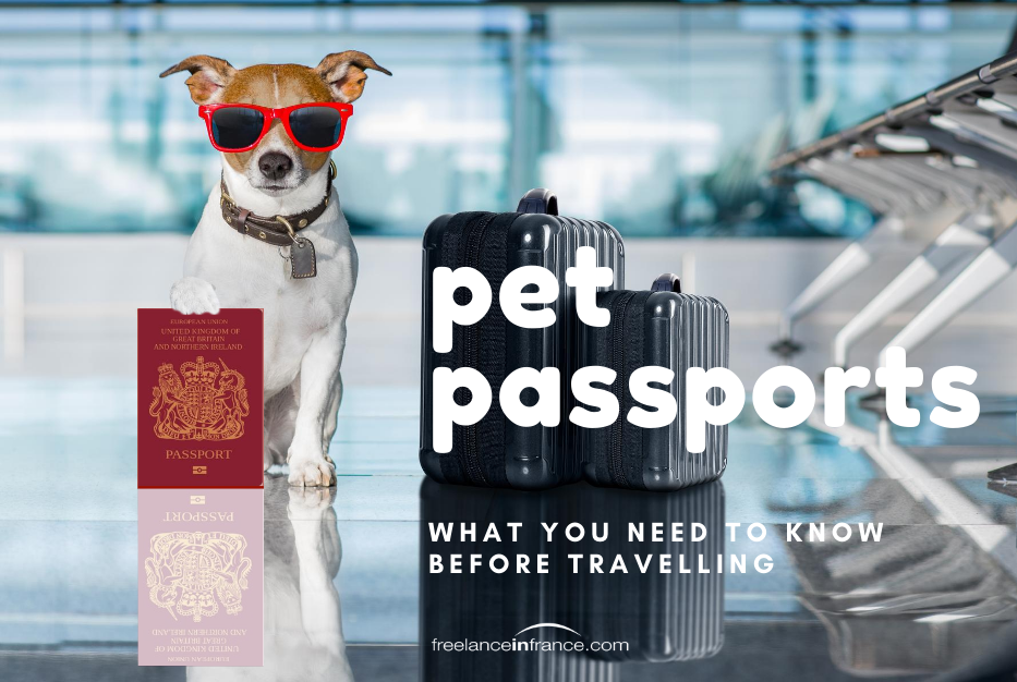 umbrellafrance's tweet photo. Planning to bring your pet with you to France? What to know before you go ... https://t.co/RZFjbejtRg

#FreelanceinFrance #livinginFrance https://t.co/Bv3mR70w1u