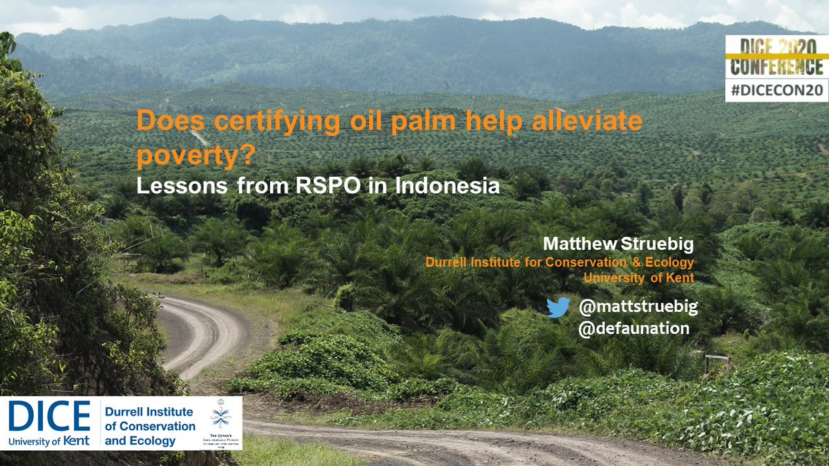 Does certifying oil palm help alleviate poverty? Here's a sneak preview of our RSPO evaluation in Indonesia – the world’s biggest producer…led by Truly Santika with  @emeijaard  @tropicalscience  @c_l_morgans & others. Preprint here:  https://osf.io/preprints/socarxiv/5qk67/  #DICECON20  #BioHWB /1