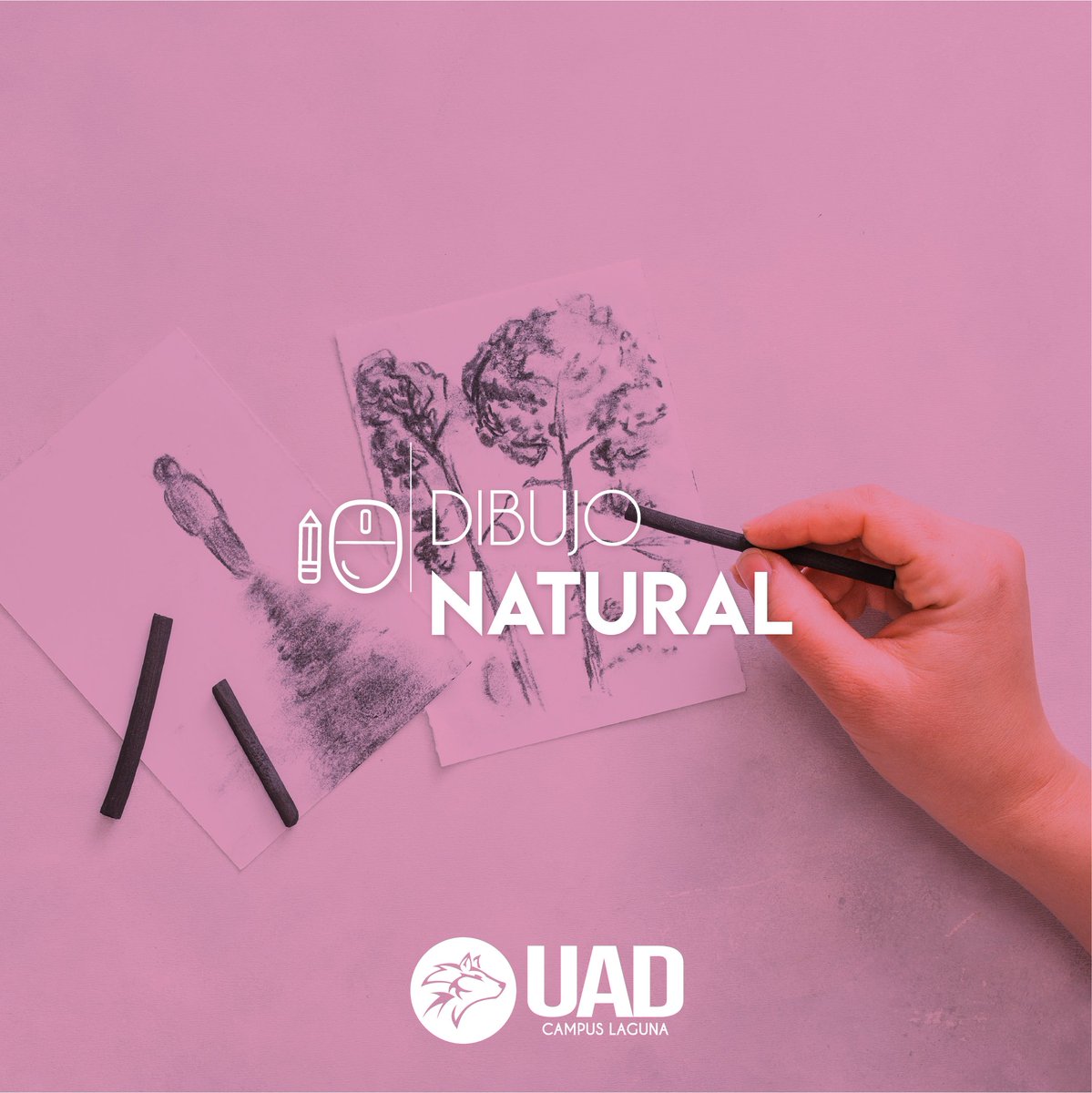 UADLaguna's tweet photo. Diseño gráfico | Dibujo Natural  
El dibujo natural es el que se realiza directamente frente al modelo, ya sean objetos, personas o paisajes. 
#siempregrandes #siemprelobos #influencialobo https://t.co/ncx4je1NyL