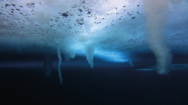 DAppDevTH tweet picture