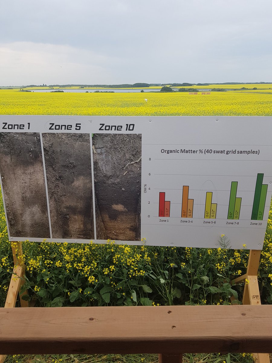 CropProKerrie's tweet photo. "Think in cross sections".. What's the mineralization potential of these different zones? Day 3 of #swatpars https://t.co/hBVZ6cJdP1