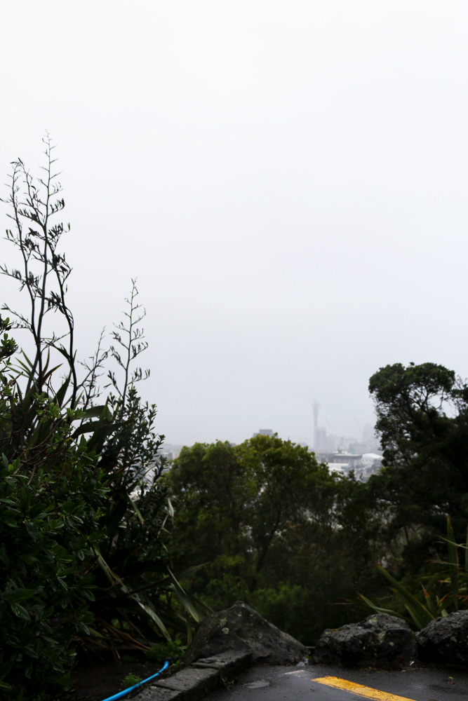 dish Magazine tweet media