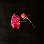 Photo by Kim Brooks (@KimBrooksStyle)
