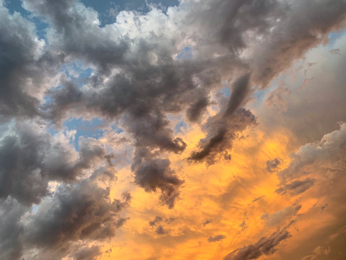 Martin Bureau tweet media