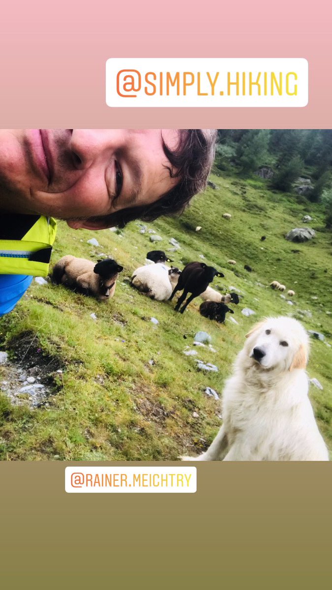 simplyhiking's tweet photo. well done #wandern #herdenschutz #simplyhiking https://t.co/Gid0v6I7bi