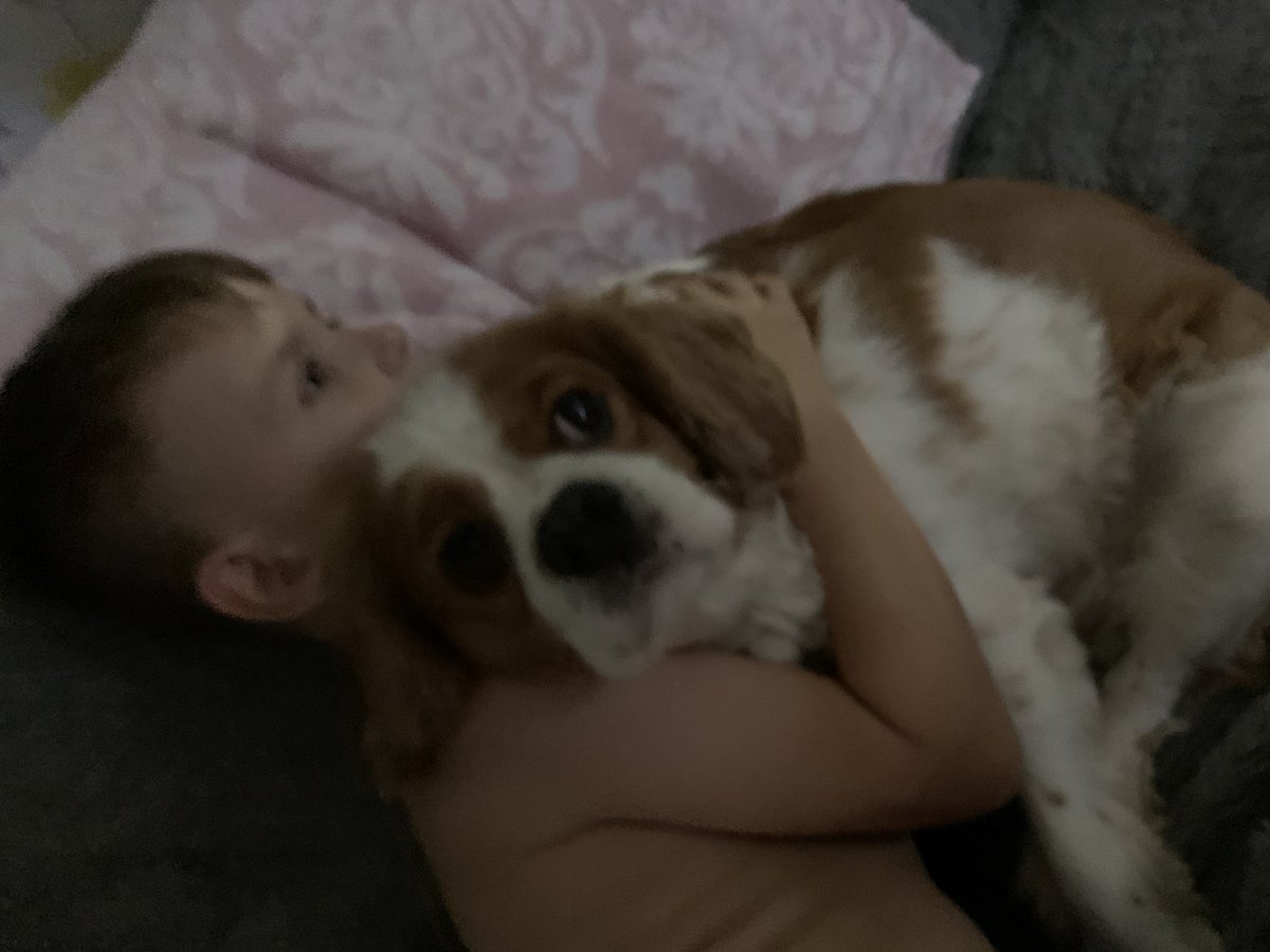 jaydenl27283814's tweet photo. Simply my best friend. Cooper and Eric ๐ถ๐ถโค๏ธ they know โค๏ธ#jaydencopforaday @clivebush3645 @adge1609 @ASPoliceHorses @ASPoliceDogs @ASPEndFGM @bobkus1989 https://t.co/KxiPY3eQUM