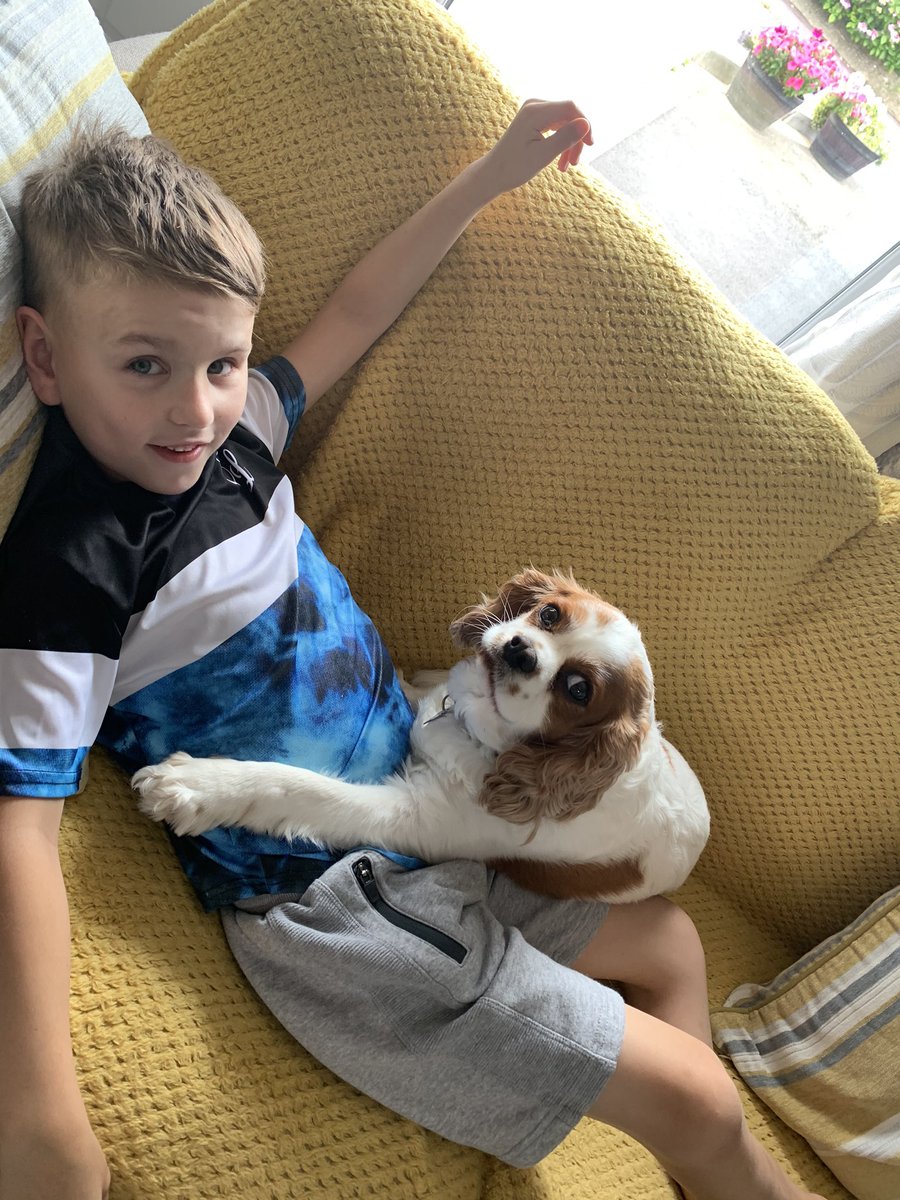 jaydenl27283814's tweet photo. Simply my best friend. Cooper and Eric ๐ถ๐ถโค๏ธ they know โค๏ธ#jaydencopforaday @clivebush3645 @adge1609 @ASPoliceHorses @ASPoliceDogs @ASPEndFGM @bobkus1989 https://t.co/KxiPY3eQUM