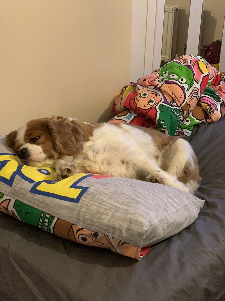 jaydenl27283814's tweet photo. Simply my best friend. Cooper and Eric ๐ถ๐ถโค๏ธ they know โค๏ธ#jaydencopforaday @clivebush3645 @adge1609 @ASPoliceHorses @ASPoliceDogs @ASPEndFGM @bobkus1989 https://t.co/KxiPY3eQUM