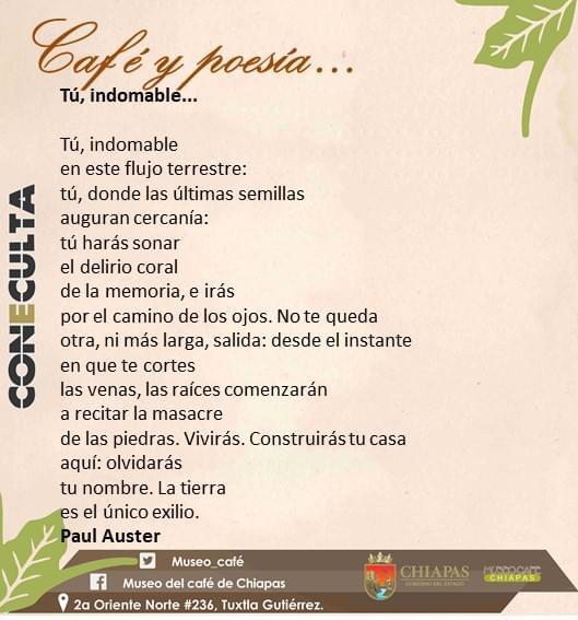 Un café y un poema ☕