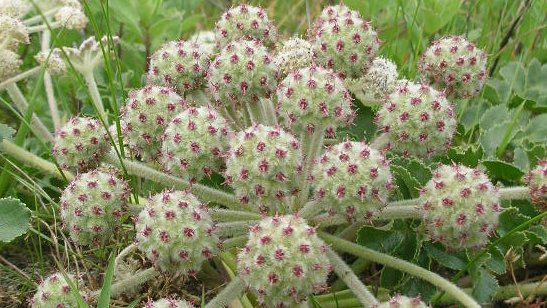 honky_tonk's tweet image. 「分からないものはこわい」の克服は人生の楽しいイベント。
私の場合は、調理・ＩＴ・英語・安全剃刀。異性もですね。
結局「自分の中にはすべて在る」と知る・体感するようになる。勿論、異性性も。
ascension2011.jugem.jp/?eid=715
#enlightenment #悟り