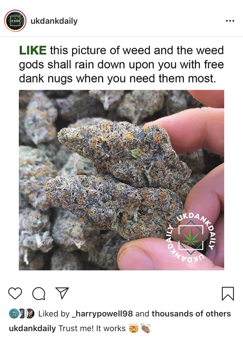 _MockingBirdd_'s tweet photo. Looks like Harry is getting dank nugs https://t.co/m6fxm4jeNd