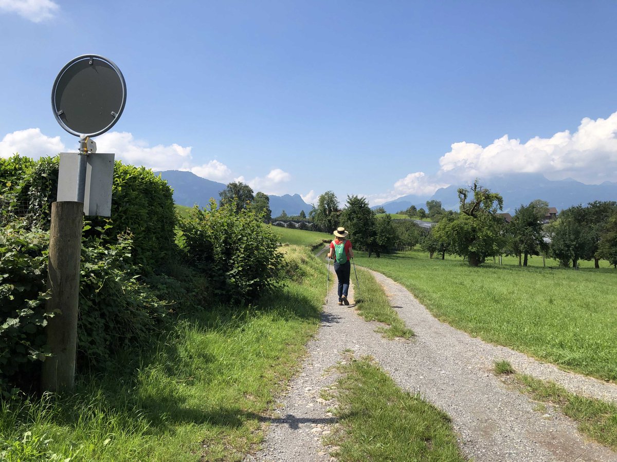Swiss_Teddy_B's tweet photo. "Riviera-Wandern" - wie geht denn sowas? Unter https://t.co/28YpyVW6Nf jetzt die Geschichte lesen! #ilovelucerne #Luzern #vierwaldstättersee #weggis #rigi #weggis #greppen @STMediaCH @ilovelucerne @News_ZentralCH https://t.co/UOKqrlR7gm