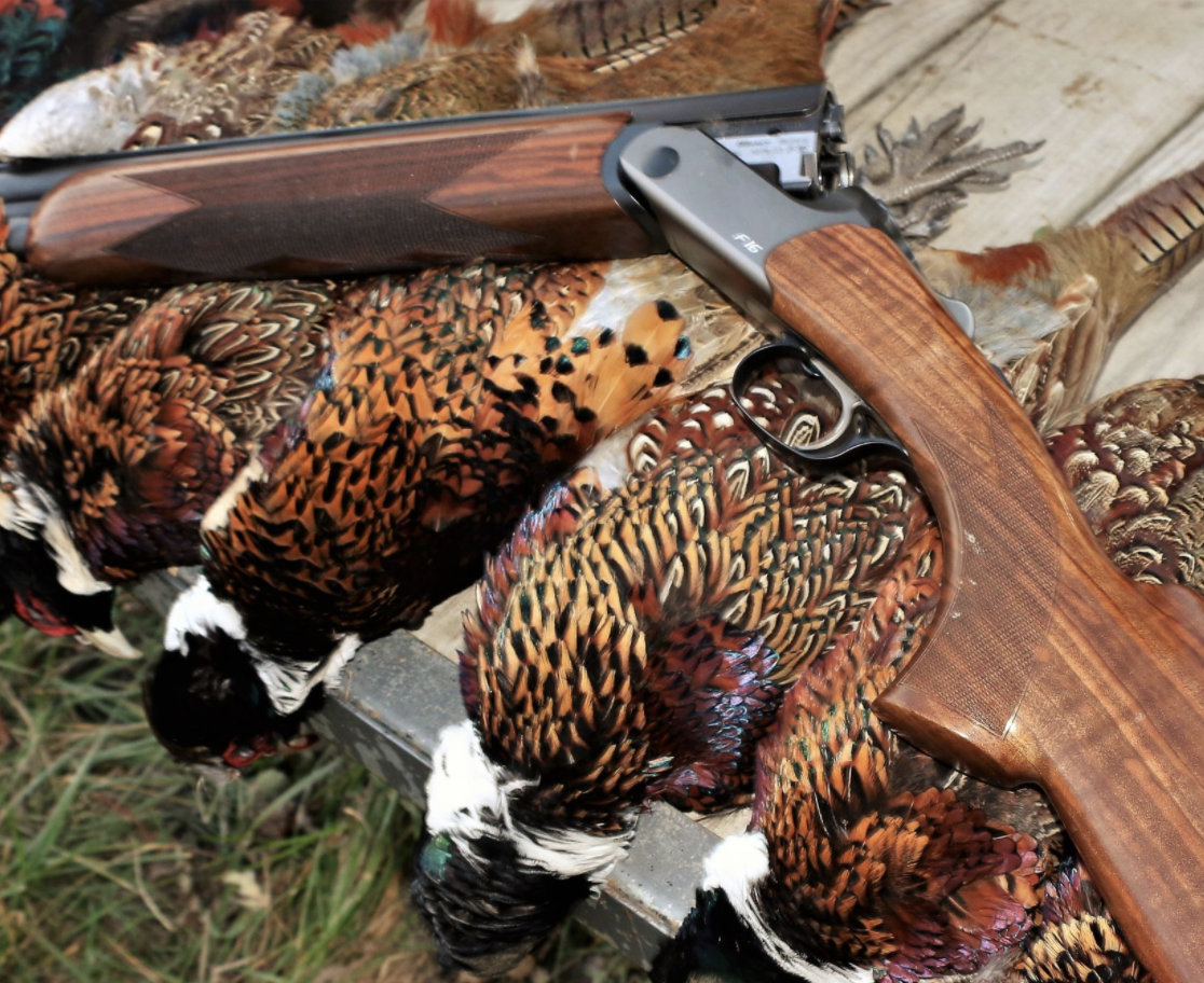 Blaser_USA's tweet photo. Some good hunting in Illinois. 👍 👍 
.
.
.
.
.
#uplandbirdhunting #uplandhunting #illinois #blaserusa #blaserf16 #pheasanthunting #huntingphoto #huntingadventure #birdhunting #huntillinois #midwesthunting #huntingphoto #shotguns #blaser https://t.co/e4L6KN2hJw