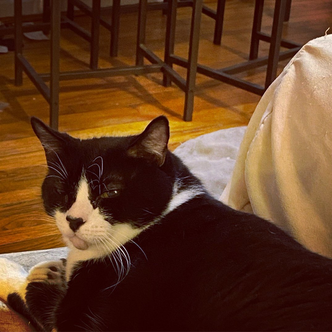 plouffykitty tweet picture