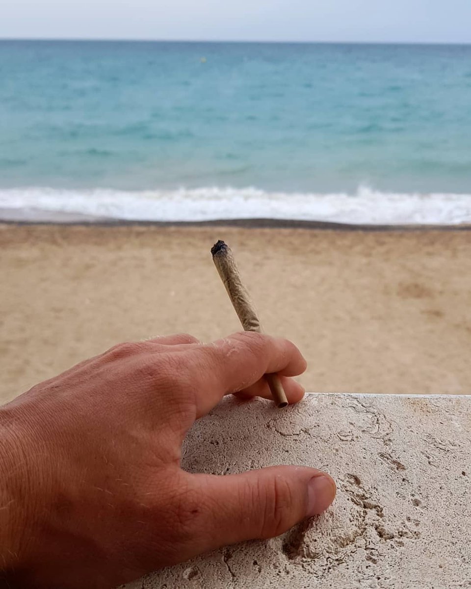 litphast's tweet image. GREAT SMOKE SPOT OR NAH? 💚🍁💨
.
Follow @litphast 🌿
.
.
STAY HIGH TORONTO ✌🏼💯
.
.
.
.
#weedsociety #weedlover #weedlife #weedstagram #instaweed #grow #marihuana #ganja #growmarihuana #plants #guerrilla #guerrillagrow #guerrillagrower #thc #cbd #sativa #indica