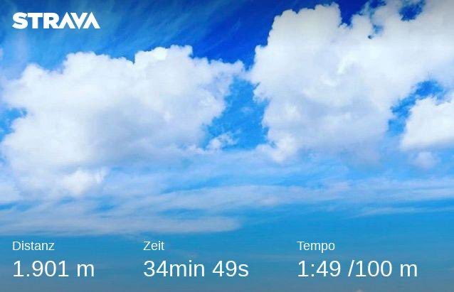 Carsten_Baukus's tweet photo. #triathlon-Training im #weltkulturerbe #neuergartenpotsdam #marmorpalais #halfdistance https://t.co/fbC9xjg3Pv
