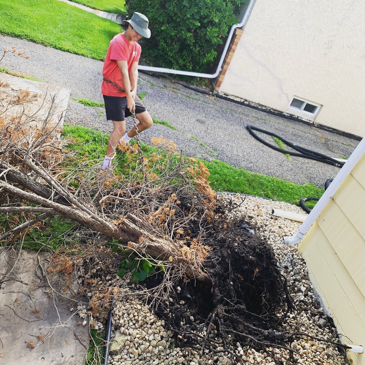 VillageLawn's tweet photo. When you need a tree 🌲 pulled out with good old fashion muscles 💪!!! #landscape #tree #getsome #muscels #usa #usmc #veteran #veteranowned #veteranownedandoperated #veteranownedbusiness #minnesota #mysaintpaul #lit #busen #lawn #lawncare https://t.co/YxvvFVcPtJ