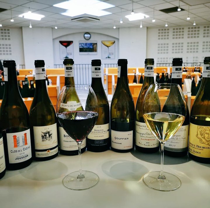 BourgogneAujou1's tweet photo. Dégustation des AOC #Bourgogne 2018. 250 échantillons avec des rouges superbes et des blancs un peu moins... Si le réchauffement climatique est à ce stade une bonne affaire pour les rouges, cela est moins évident pour les chardonnay @VinsdeBourgogne @LPVien @HISTOIRE_DU_VIN https://t.co/WPJCQxzlUW