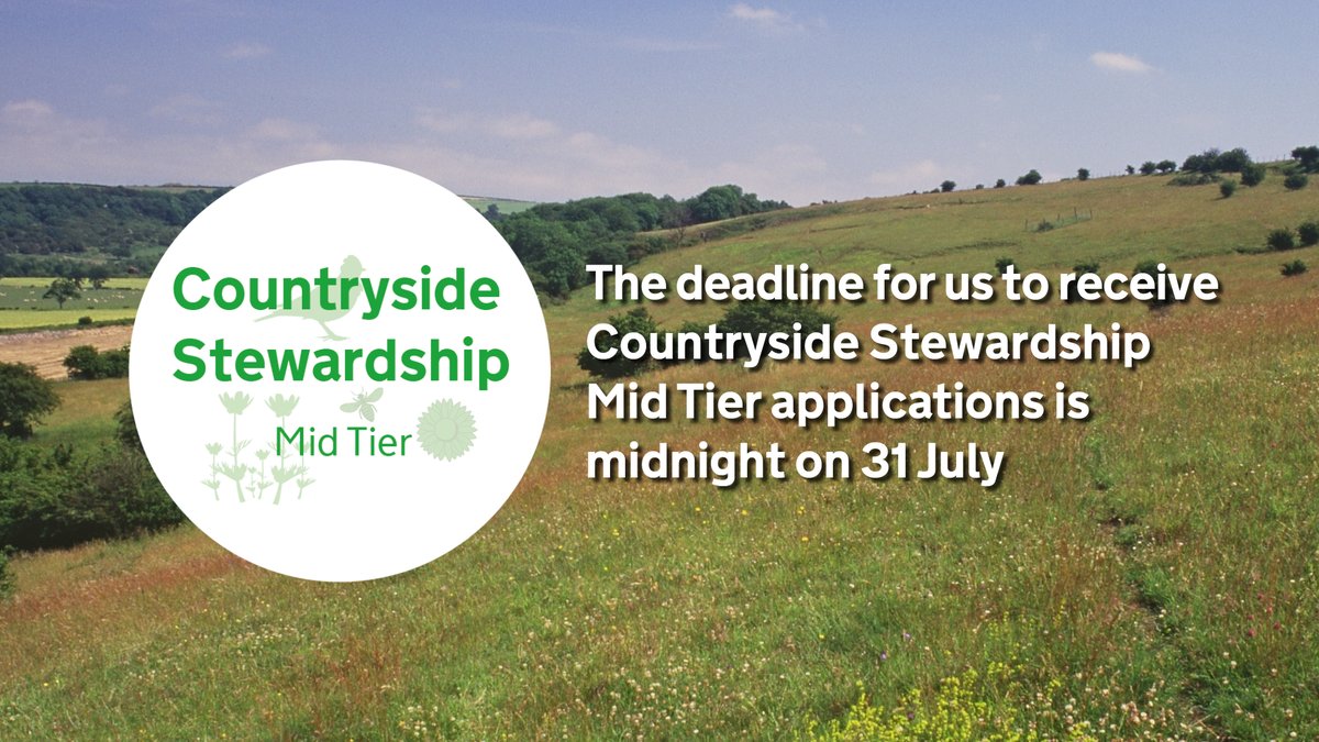 Ruralpay's tweet image. 2 days to go! The Countryside Stewardship Mid Tier application deadline is midnight on 31 July. 

Can’t meet this due to the coronavirus (COVID-19) outbreak? Read our update: gov.uk/guidance/coron…

@NFUtweets @DefraFAS @CLAtweets @IAgSA_UK @tenantfarmers @DefraGovUK