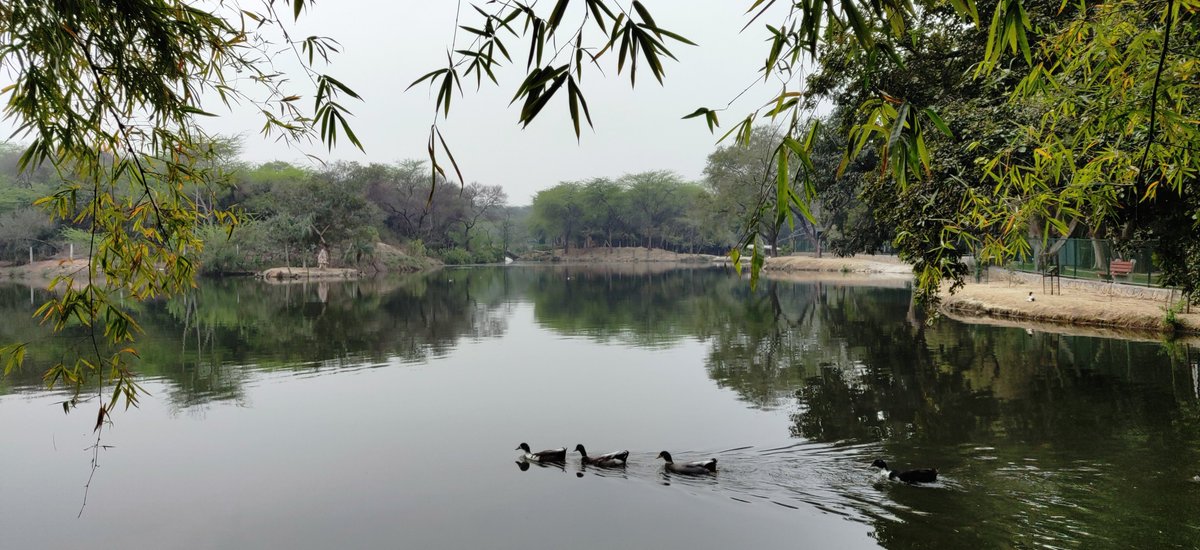 3/ I remember my stay in Delhi most for its numerous parks & city forests. And, I still cherish jogging in the iconic Lodhi Garden & Nehru Park and joyous cycling trips to its green treasures like Sanjay Van, Jahanpanah Park, Aravalli Biodiversity Park, Delhi Ridge etc.