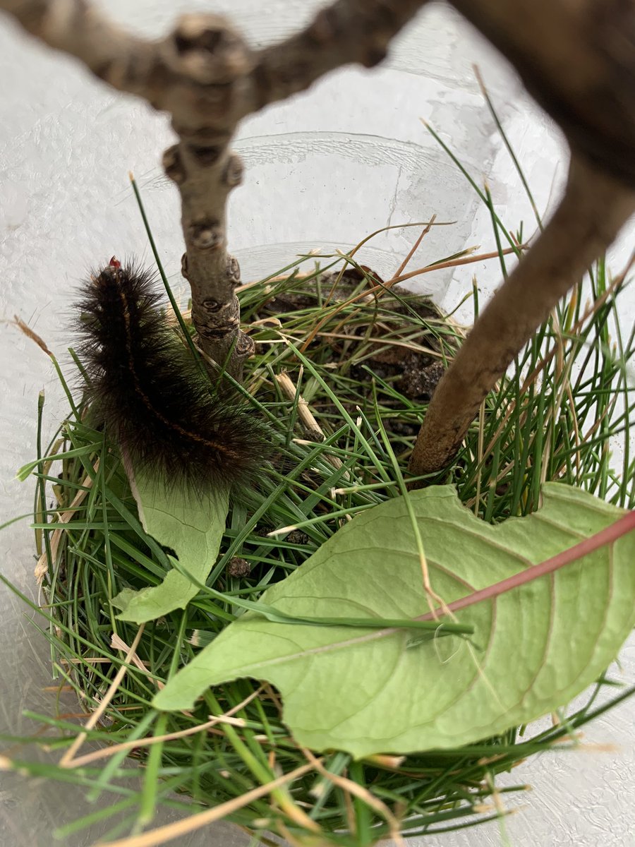 becksldrt tweet media