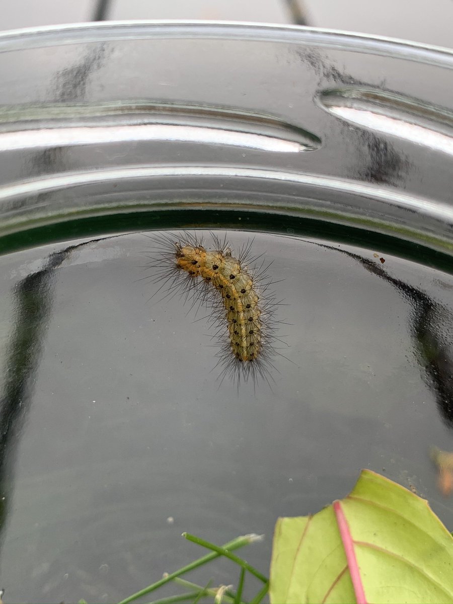 becksldrt tweet media