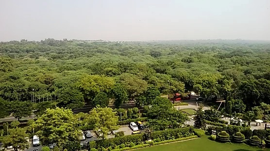 6/ A significant part of the solution is to bring forests right into our cities to increase the resilience in the environmental system and restore the delicate balance of the natural world. Forests can save us from the scourge of environmental pollution in our urban landscapes.