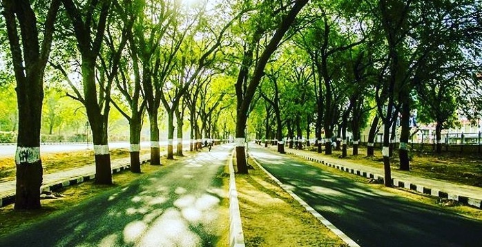 6/ A significant part of the solution is to bring forests right into our cities to increase the resilience in the environmental system and restore the delicate balance of the natural world. Forests can save us from the scourge of environmental pollution in our urban landscapes.