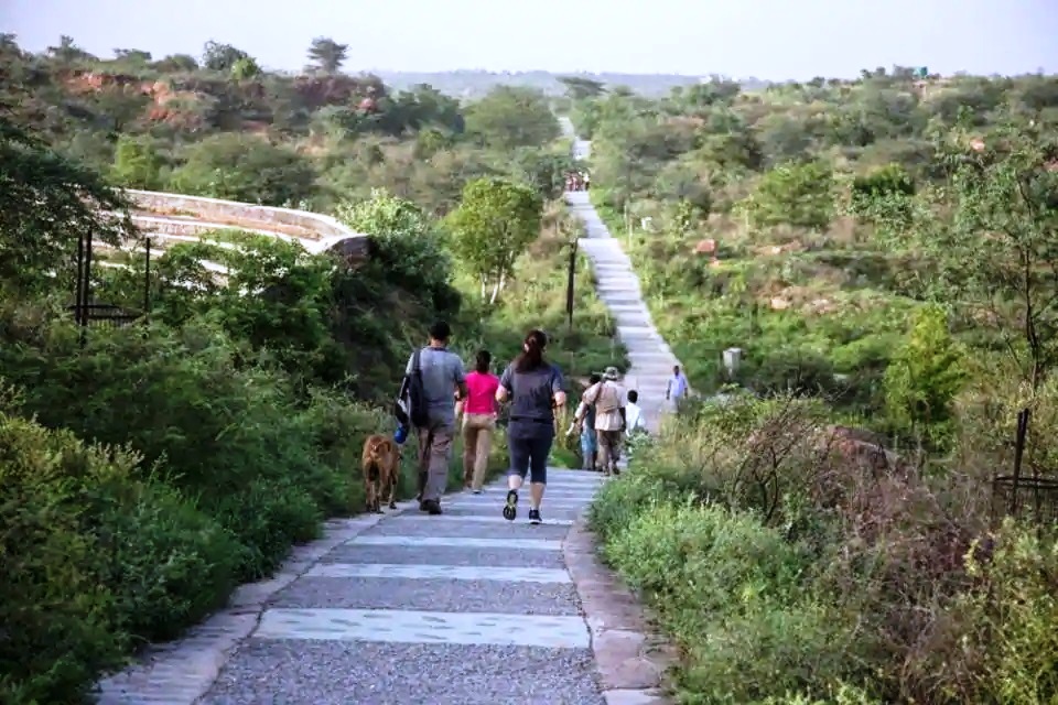 7/ The COVID-19 pandemic is an unmissable warning sign and a wakeup call to the world community to act fast to bridge the widening chasm between humans and nature. Creating green spaces/ wooded areas/ forests in urban settings/ landscapes is one of the solutions.