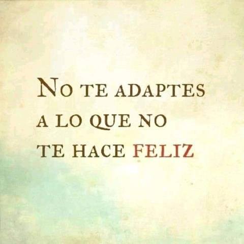 VicenteLaparra's tweet photo. No https://t.co/UVsQShJDo1