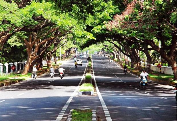 15/ Average per capita green space in top 10 most populated UAs varies from ~6 m2 to 10 m2. In comparison, Chandigarh and Gandhinagar, two modern cities outside this list, with per capita urban green space ~55 m2 and ~163 m2 respectively stand out as highly green cities.