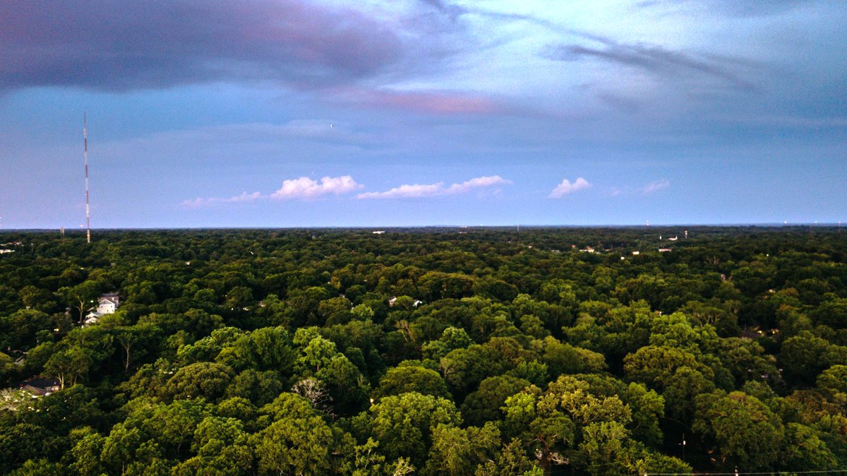 19/ Let us look at some of the greenest cities on the planet & some astonishing man-made urban forests:-Atlanta, Georgia, USA-a ‘City in Forest’ with tree canopy cover >50%; Most trees planted ~100-80 years ago; named as the ’Place of a lifetime’ by the National Geographic;