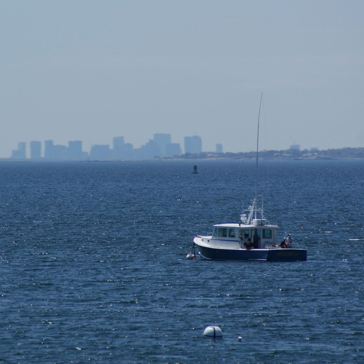 OceansTable's tweet photo. Gloucester is America’s Oldest Seaport, this is where we catch, fillet, package, and ship your fresh fish. 

#oceanstable #oceantotable #freshfish#seafood #freshneverfrozen #msccertified #certifiedsustainable #fishing #fisherman #gloucester #boston https://t.co/RPinbPzVQo