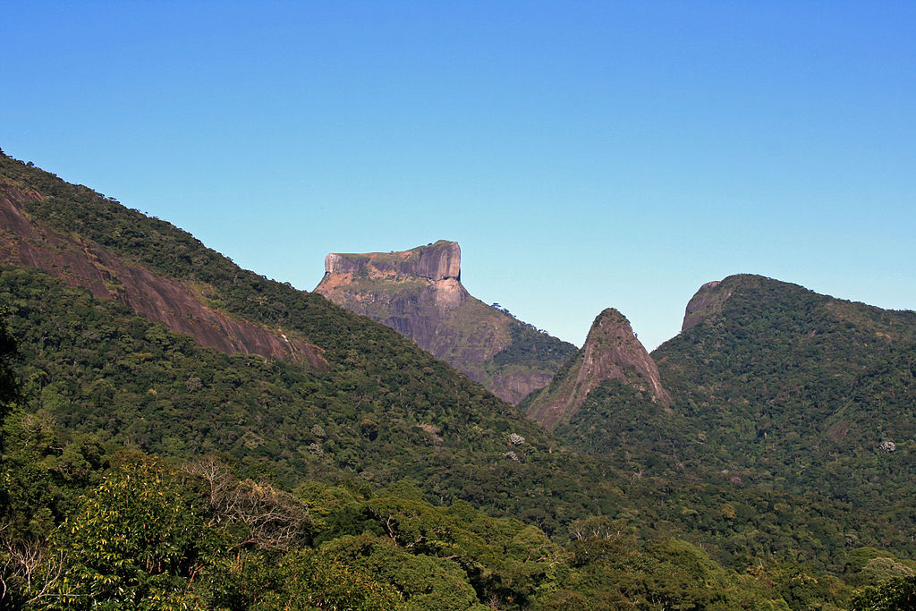 21/-Tijuca Forest, a tropical rainforest in the city of Rio de Janeiro, Brazil is claimed to be the world's largest urban forest. Tijuca Forest is a 3200 ha man-made reclamation of land around Rio de Janeiro on which planting began in the 2nd half of the 19th century;